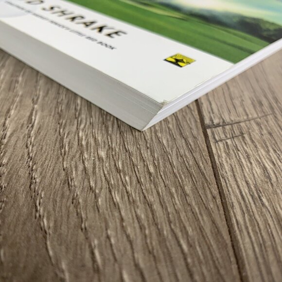 Billy Boy A Novel by Bud Shrake 2002 PB Golf - Picture 5 of 8